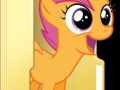 custom_scootaloo_folder_icon_by_blues27xx-d4zqj9e.png